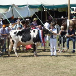 P1000326